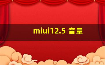 miui12.5 音量